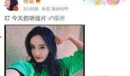 沈腾爆料吃瓜事件视频全集,揭秘娱乐圈幕后真相