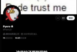 怎么看内鬼爆料视频,视频背后的真相与反思
