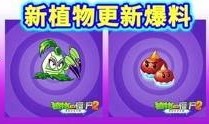 植物大僵尸爆料视频下载,全新玩法与角色大曝光