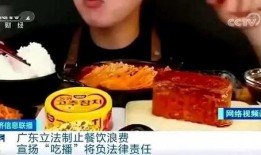 大宝美食爆料视频大全集,视频大全集带你领略美味世界