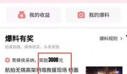 今日头条长沙爆料视频,视频曝光引网友热议！