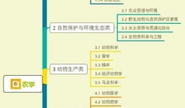 红旗内部爆料视频大全集,揭秘视频大全集背后的惊人真相