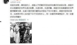 娱乐吃瓜解说大全最新版,盘点年度最热话题与幕后真相